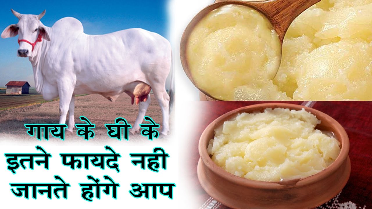 benefits of cow ghee in hindi